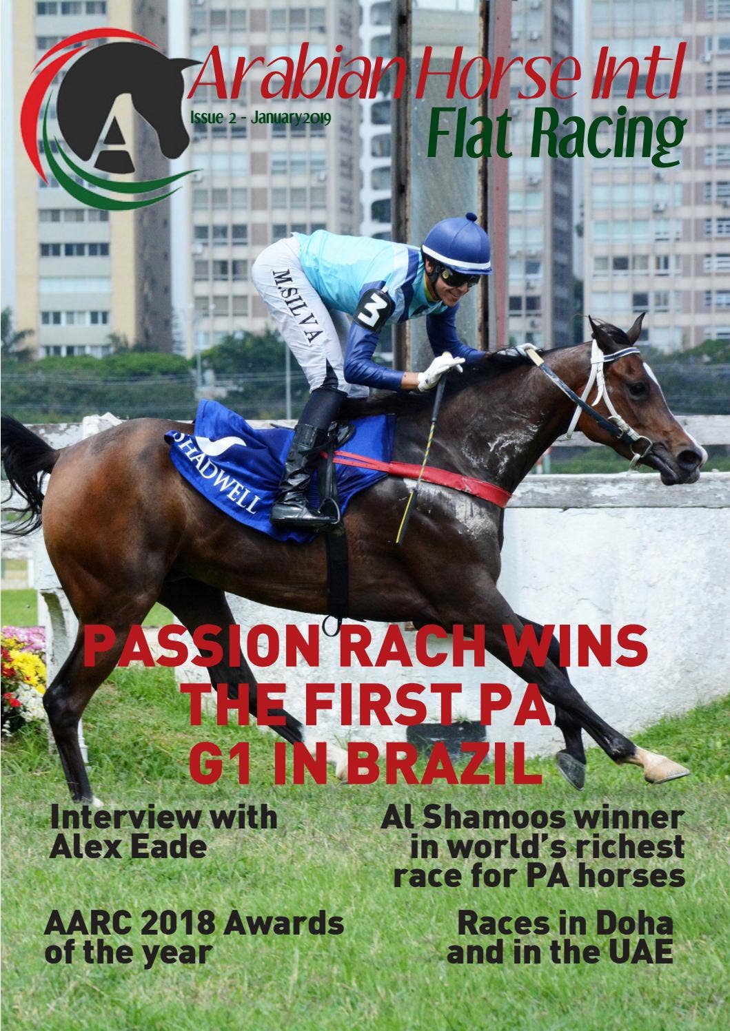 Arabian Horse Intl Flat Racing Issue 2 by arabianhorseintl - Issuu