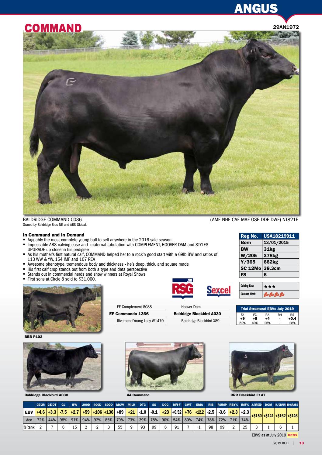 ABS Australia 201920 Beef Sire Directory no prices by ABS Global, Inc. Issuu