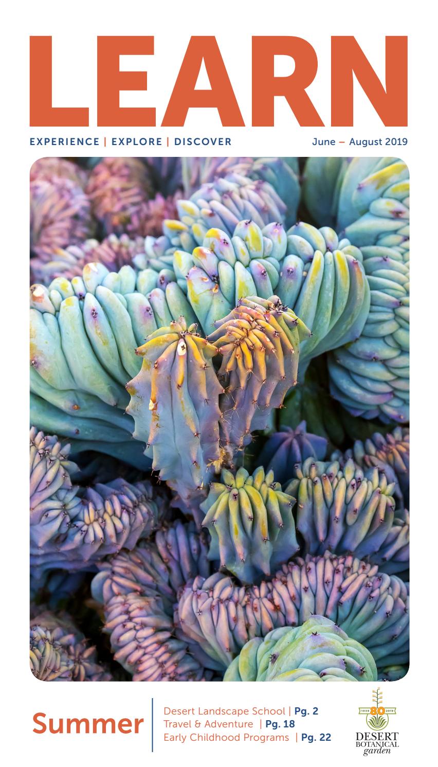 LEARN Summer Catalog 2019 by dbgphx Issuu