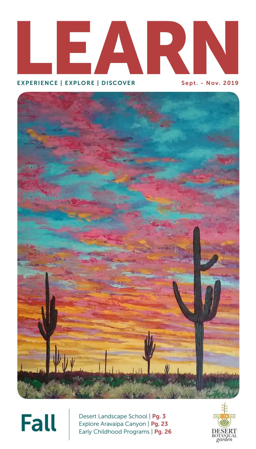 LEARN Catalog Fall 2019 by dbgphx Issuu