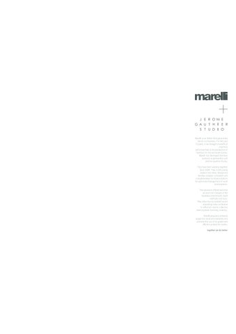 StudioLine Workplace Environments 灯饰目录 · MARELLI 工程 第 4 页