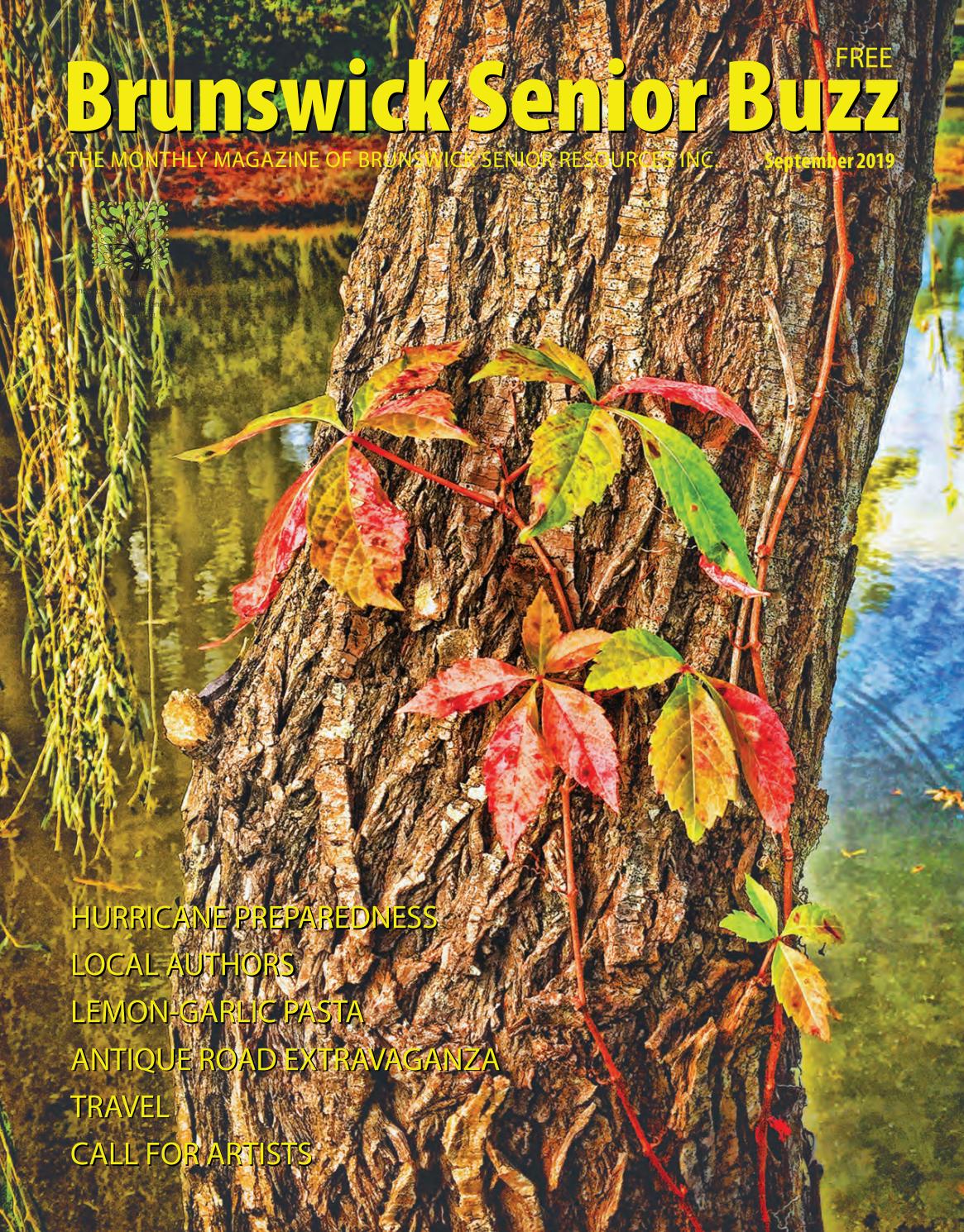 1 lbs long leaf pines needles coil basket weaving crafts 8/" 12/" North Carolina