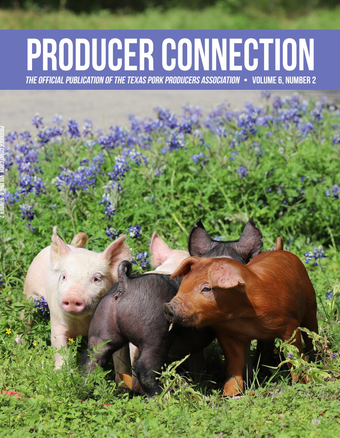 Producer Connection April 2109 By Ranch House Designs Issuu