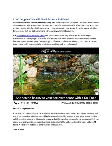 Backyard Koi Pond Designs Colonia By Andreaskoch21021 Issuu