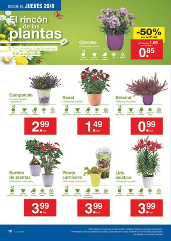 Ofertas Supermercados 家具目录 · Catalogo lidl banaba 第 10 页