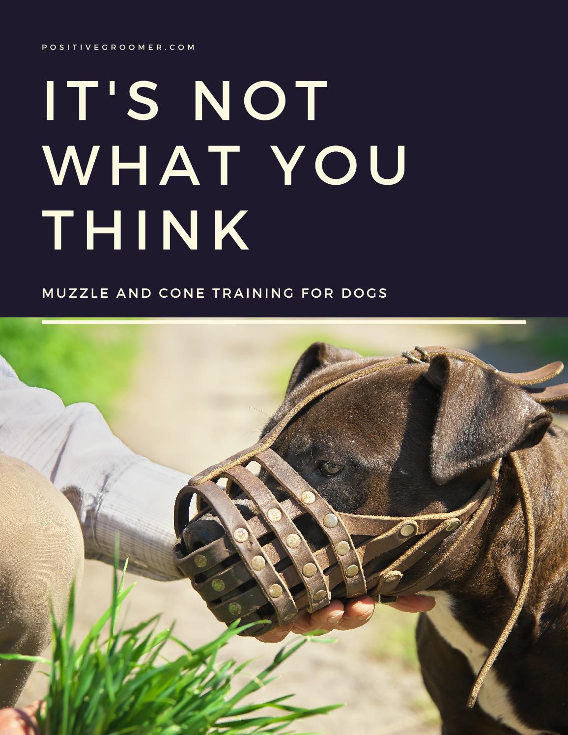 Muzzle instead of cone Clearance