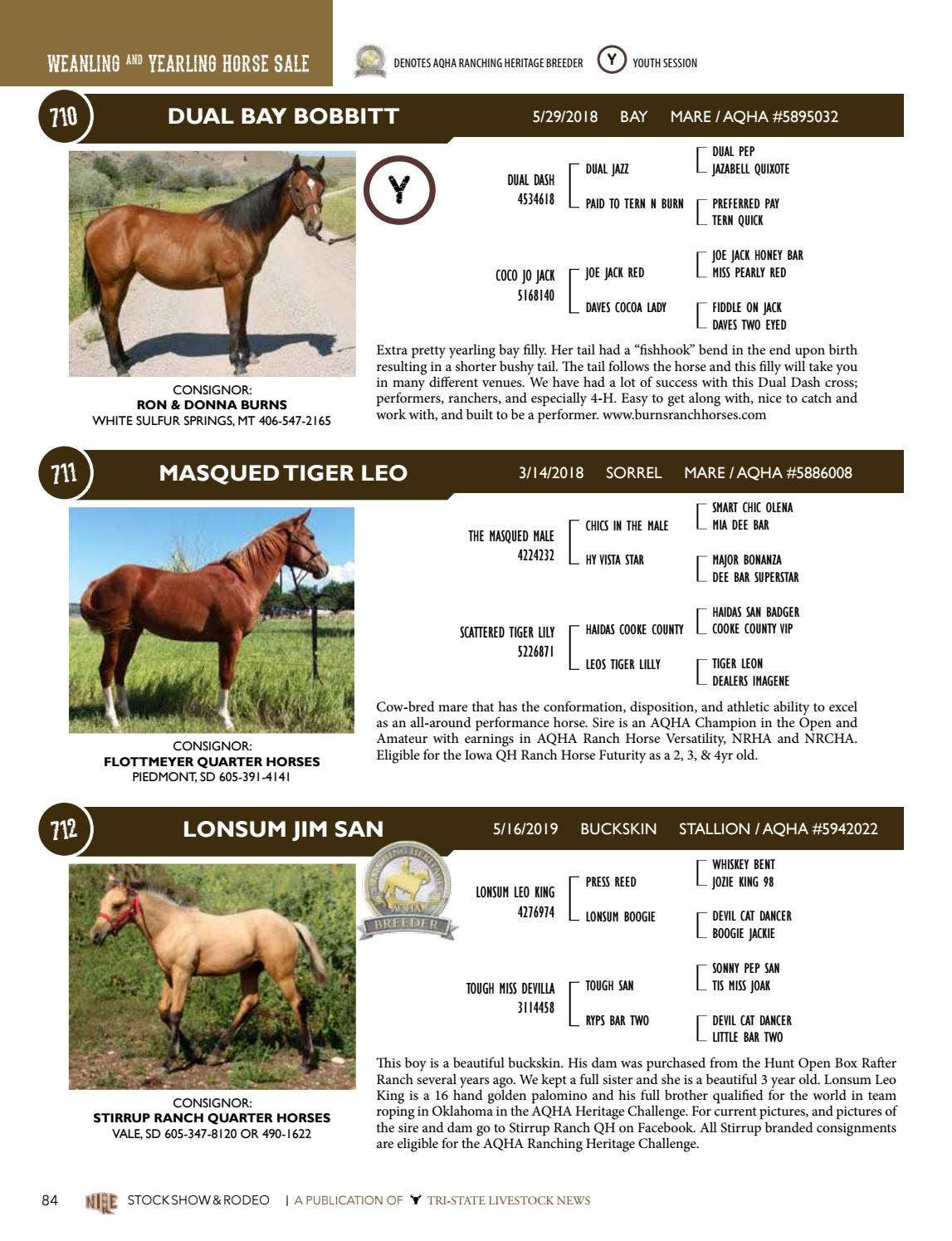 2019 NILE Premier Isssue & Gold Buckle Horse Sale Catalog by TriState