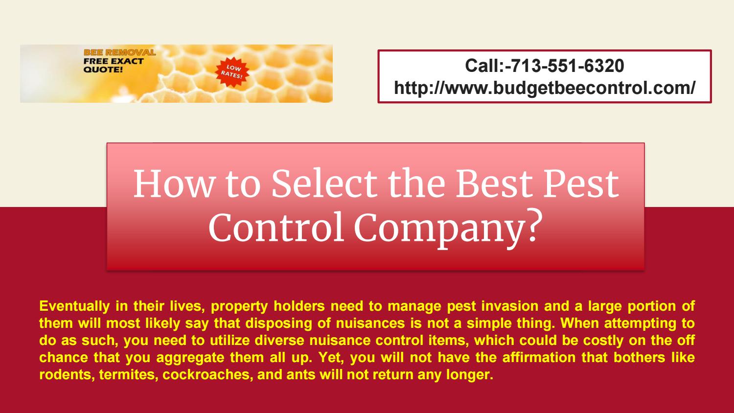 How to Select the Best Pest Control Company? by Budget Bee Removal Issuu