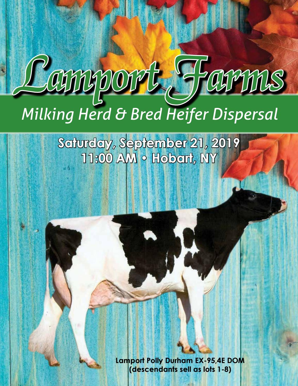 Lamport Farms Dispersal by Daniel Brandt Issuu