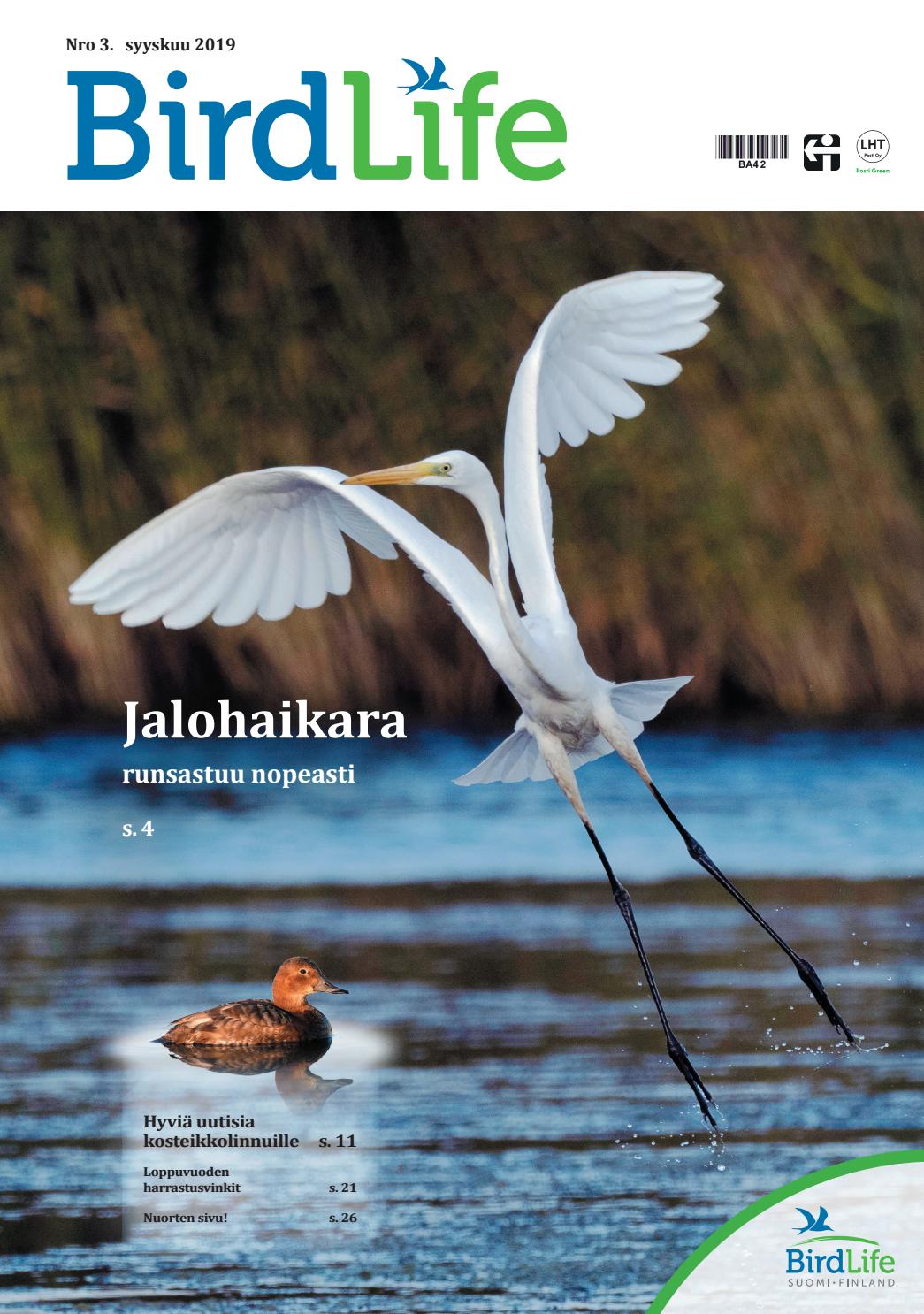 joutsen kaula koukku koukku