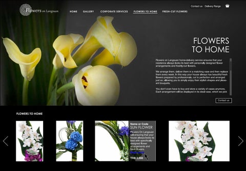 Website Design 第 10 页