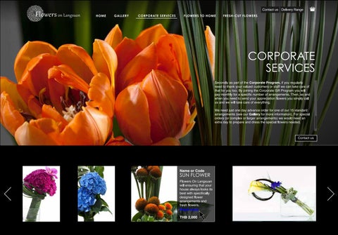 Website Design 第 12 页