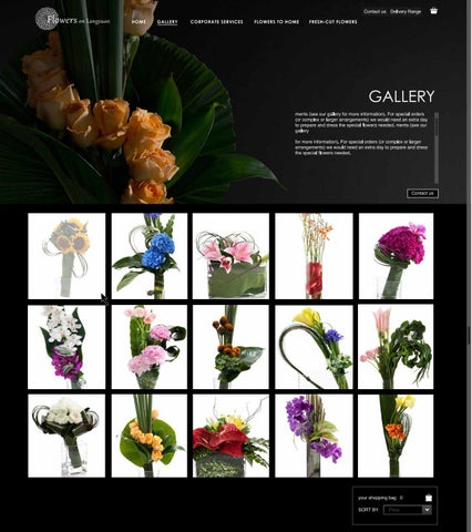 Website Design 第 2 页