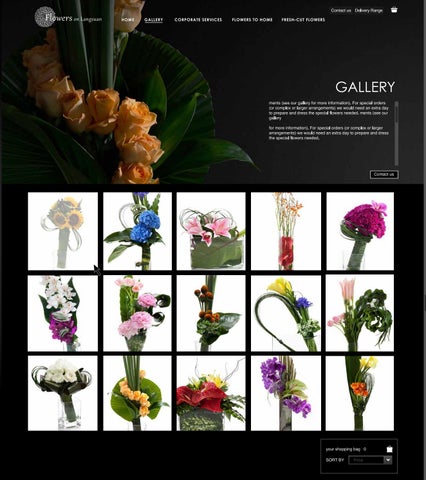 Website Design 第 3 页