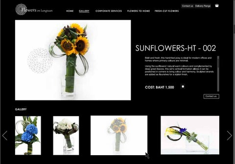 Website Design 第 4 页