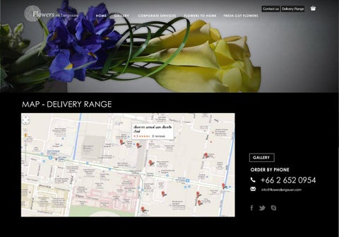 Website Design 第 7 页