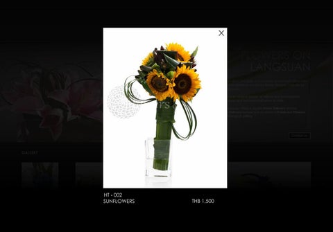 Website Design 第 9 页