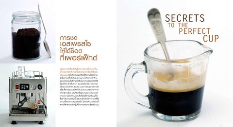 Photo / Layout Design 第 14 页