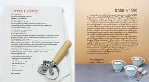 Photo / Layout Design 第 3 页