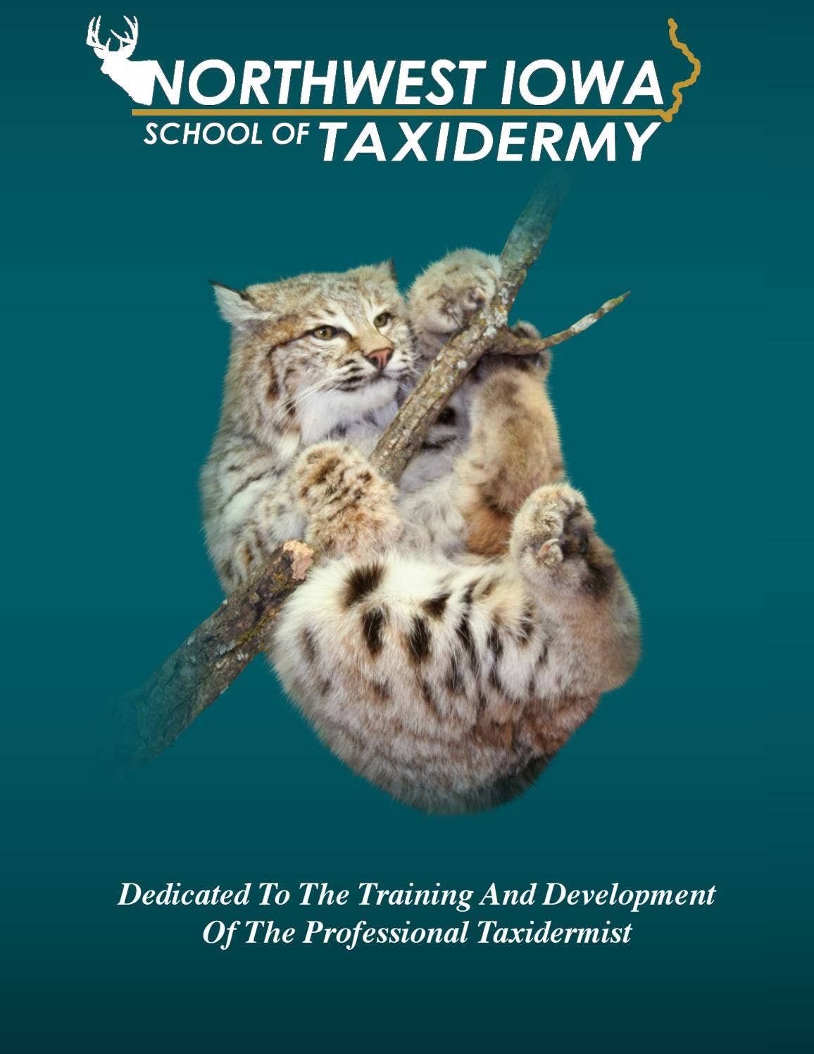 2019 School Catalog by Matuska Taxidermy Issuu