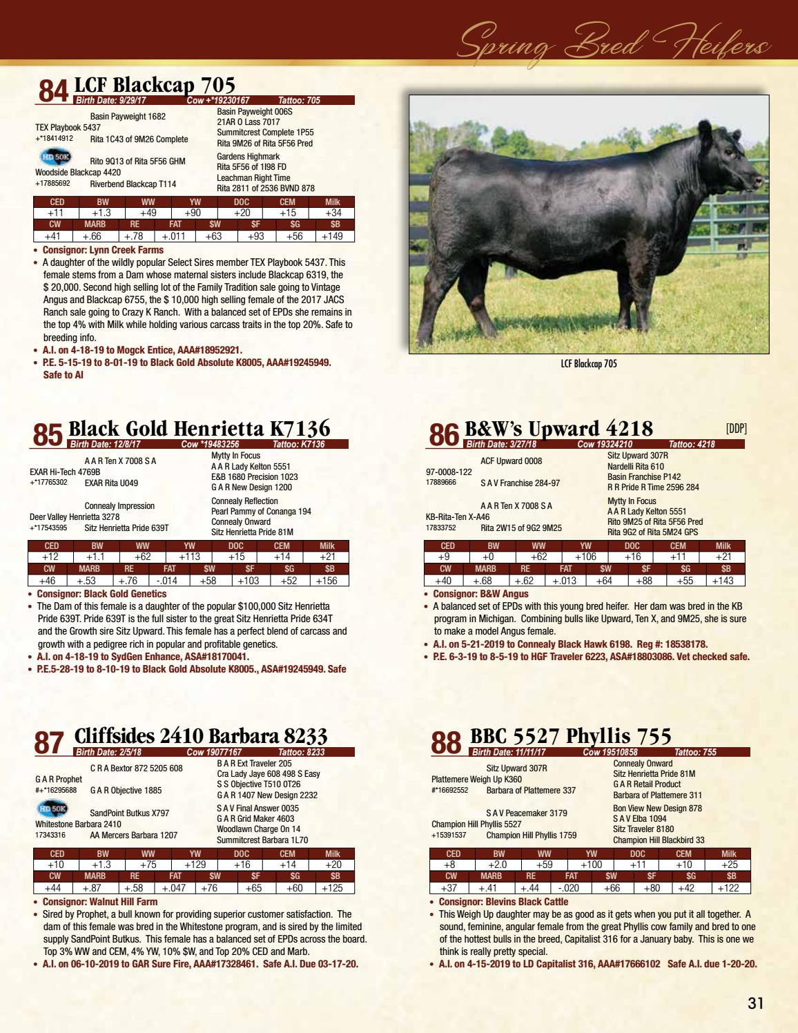 Great Meadows Angus 18th Annual Fall Sale 2019 by Barbour Marketing