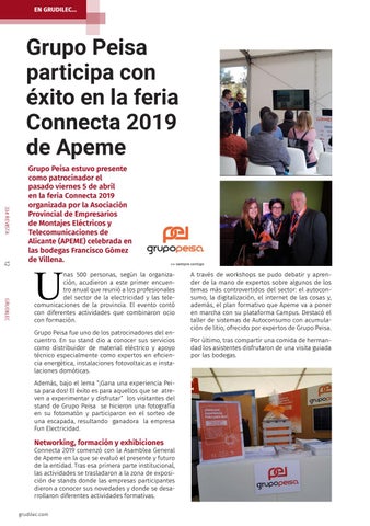 Boletín profesional nº33 - Grudilec 第 12 页