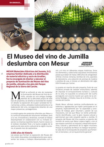 Boletín profesional nº33 - Grudilec 第 16 页