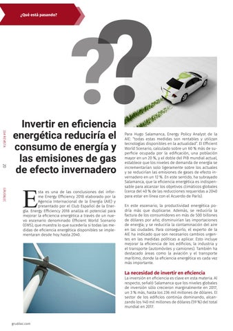 Boletín profesional nº33 - Grudilec 第 20 页