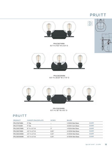 Quoizel Blueprint Supplement 2019 第 13 页