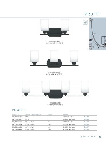 Quoizel Blueprint Supplement 2019 第 21 页