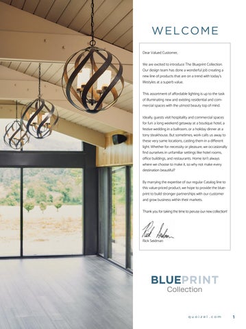 Quoizel Blueprint Supplement 2019 第 3 页