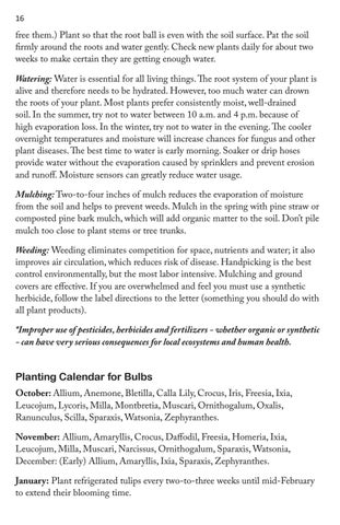 The Garden Club of Houston 灯饰目录 · 光源 × Plant Mart Horticulture 指南 第 16 页