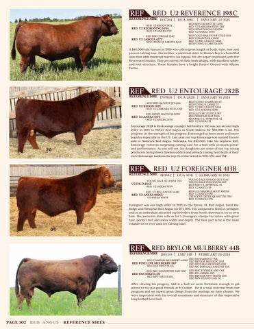 U2 Ranch Complete Herd Dispersal by Bohrson Marketing Services Ltd. - Issuu