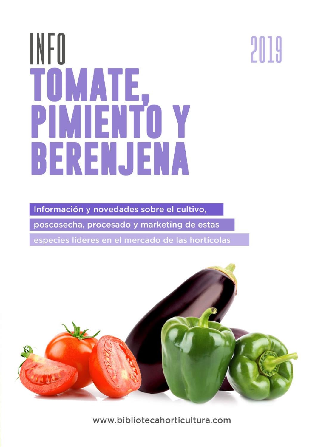 Concepto e importancia del tomate