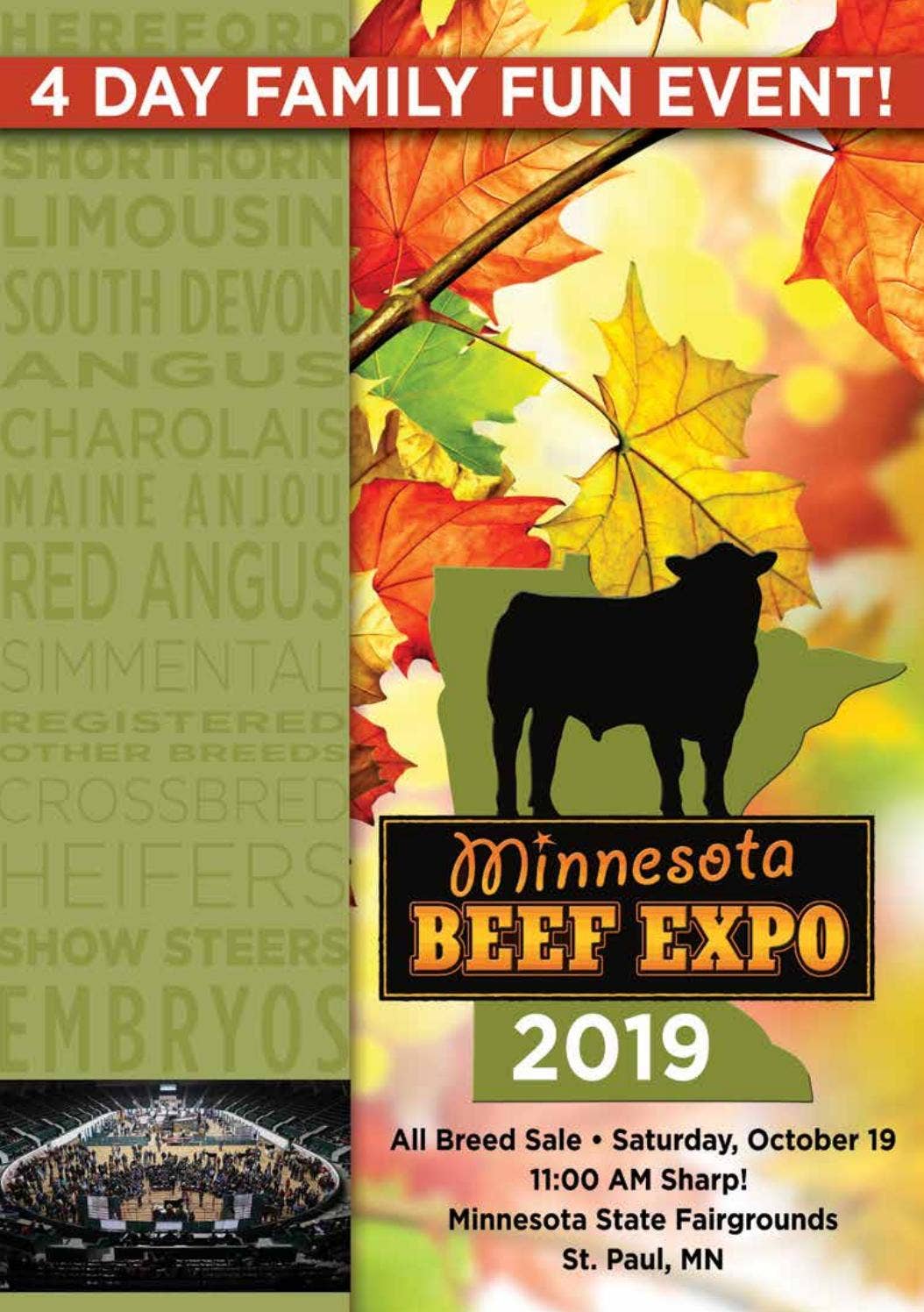 2019 MN Beef Expo Sale Catalog by Eberspacher Enterprises Issuu