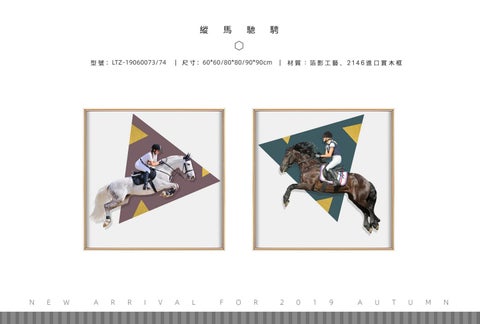 2019掛畫-箔影家具系列 第 21 页