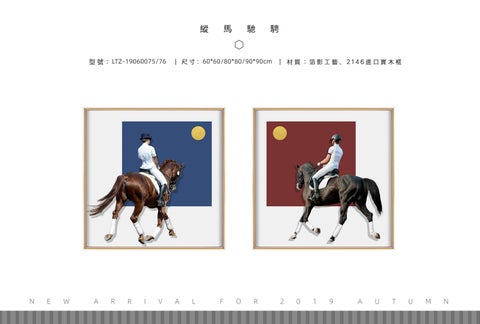 2019掛畫-箔影家具系列 第 23 页