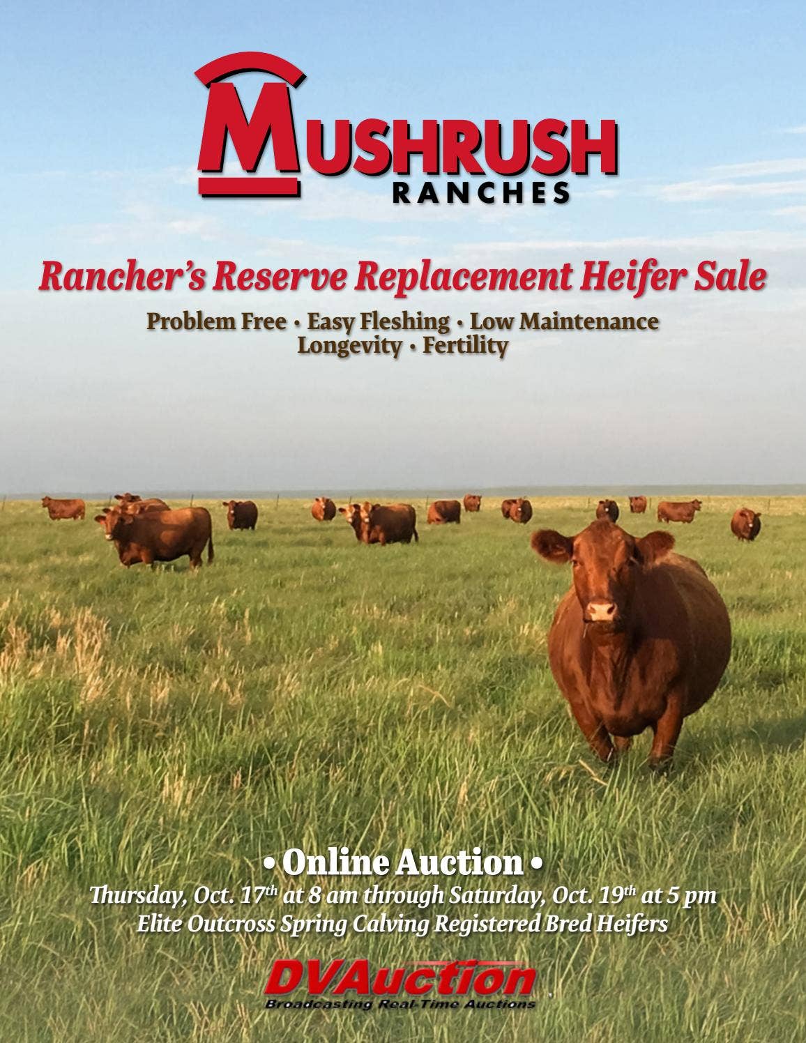 2019 Rancher's Reserve Replacement Heifer Sale Catalog by