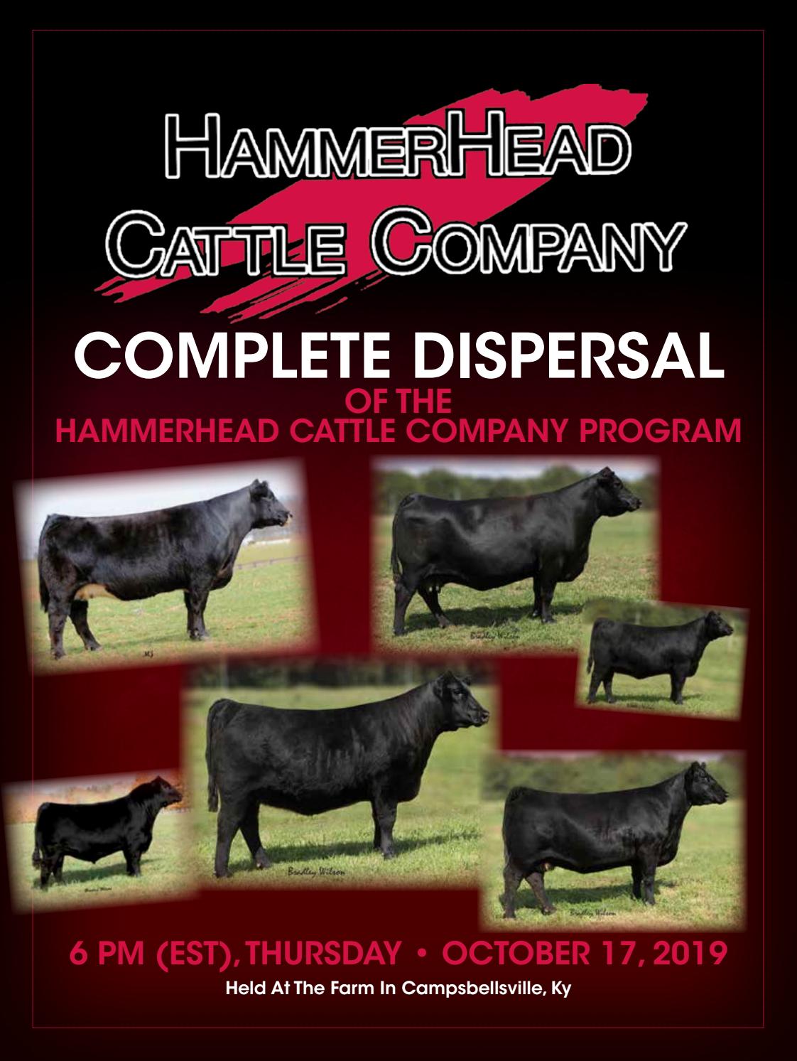Hammerhead Cattle Company Complete Dispersal Sale by bwlivestock Issuu