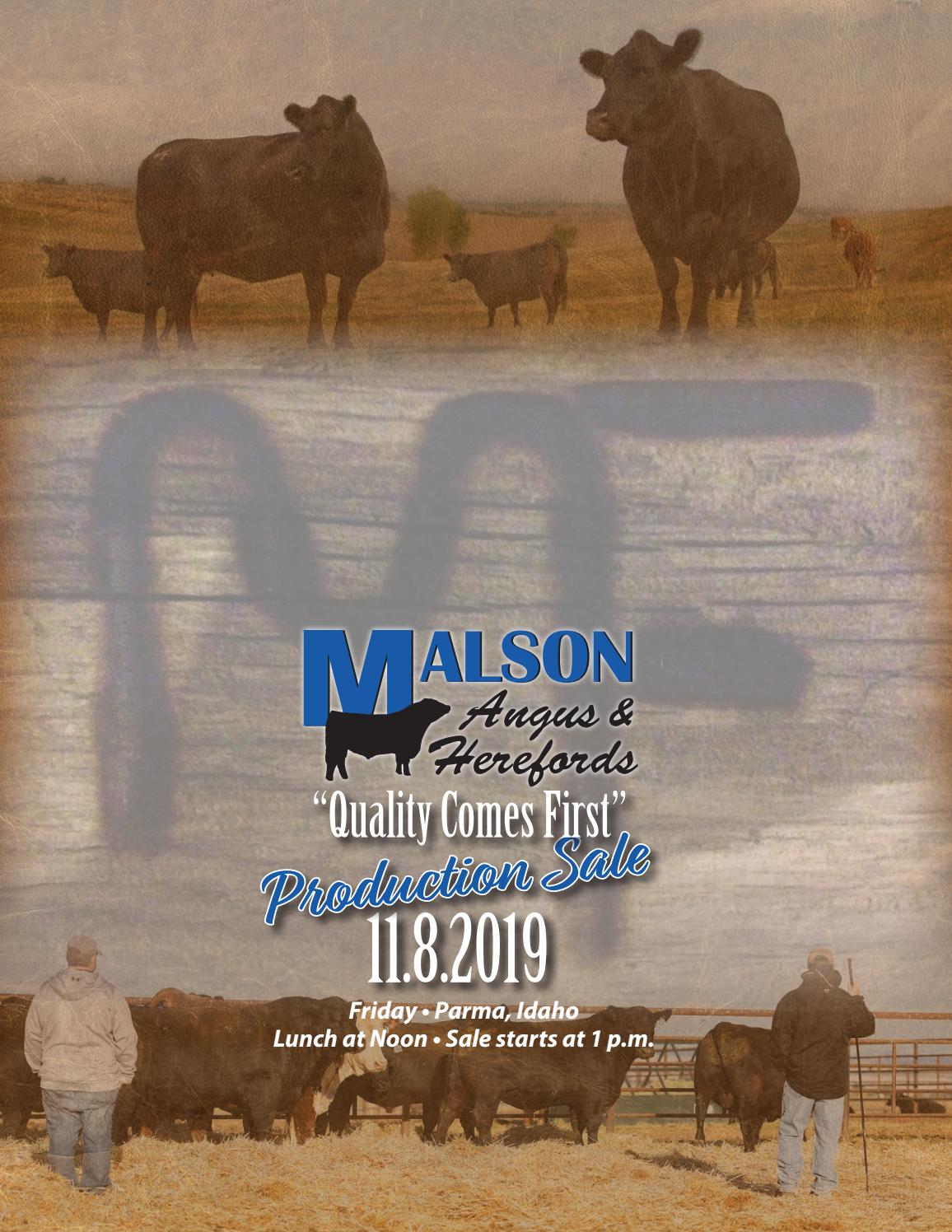 Malson Angus and Herefords 2019 Bull Sale Catalog by LivestockDirect