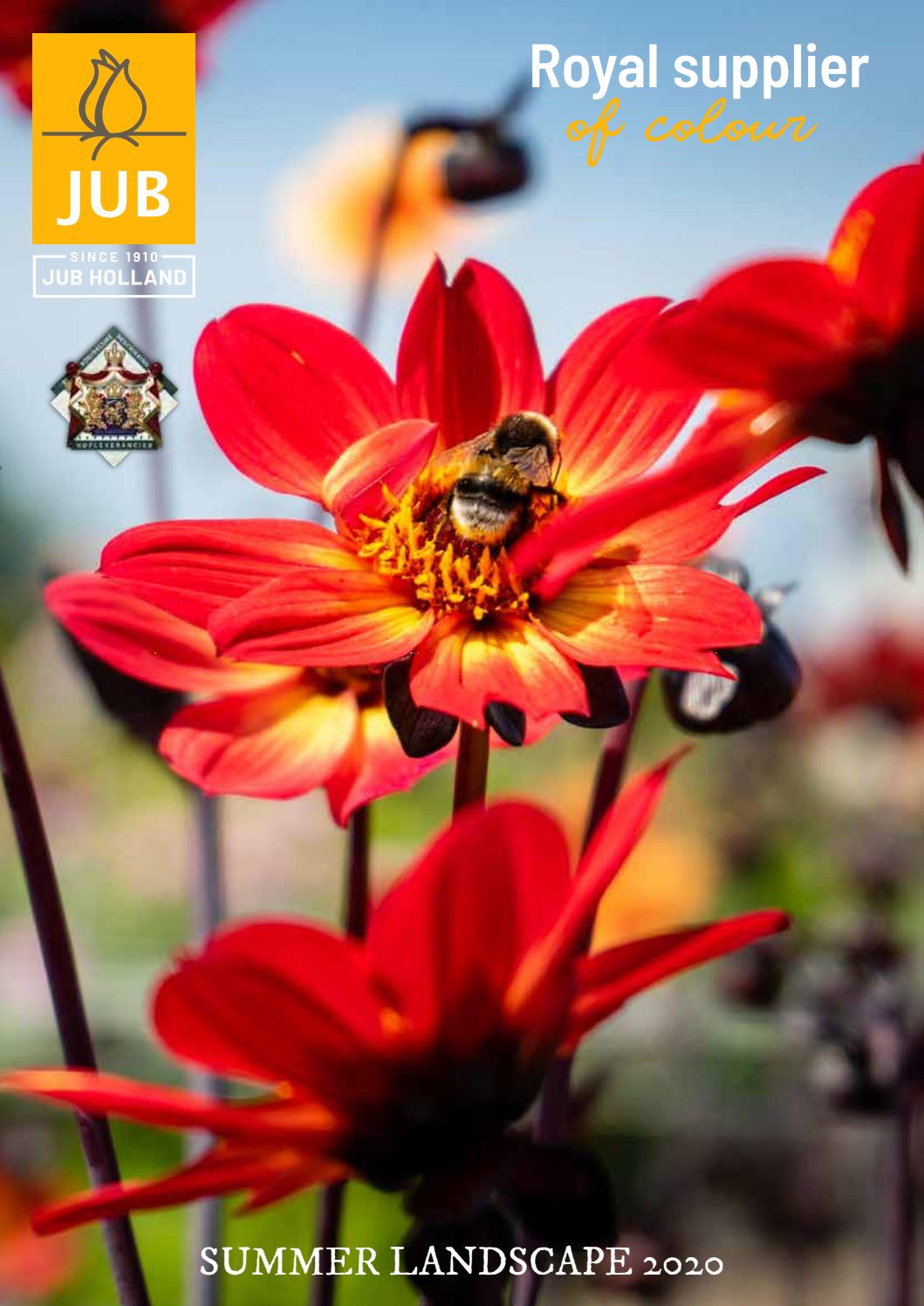 JUB Holland Catalogue Landscape Summer 2020 by JUB Holland Issuu