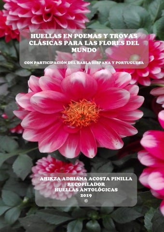 Archivo del blog