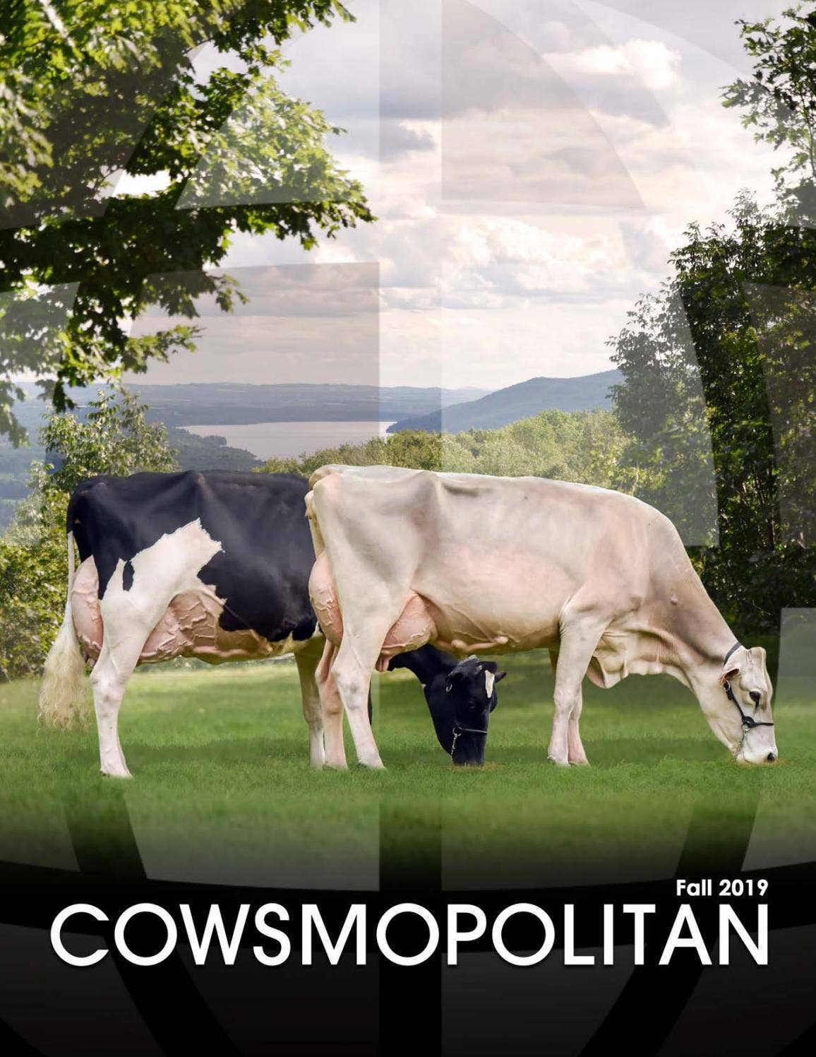 Cowsmopolitan Cowsmopolitan Fall 2019 by Cowsmopolitan - Issuu