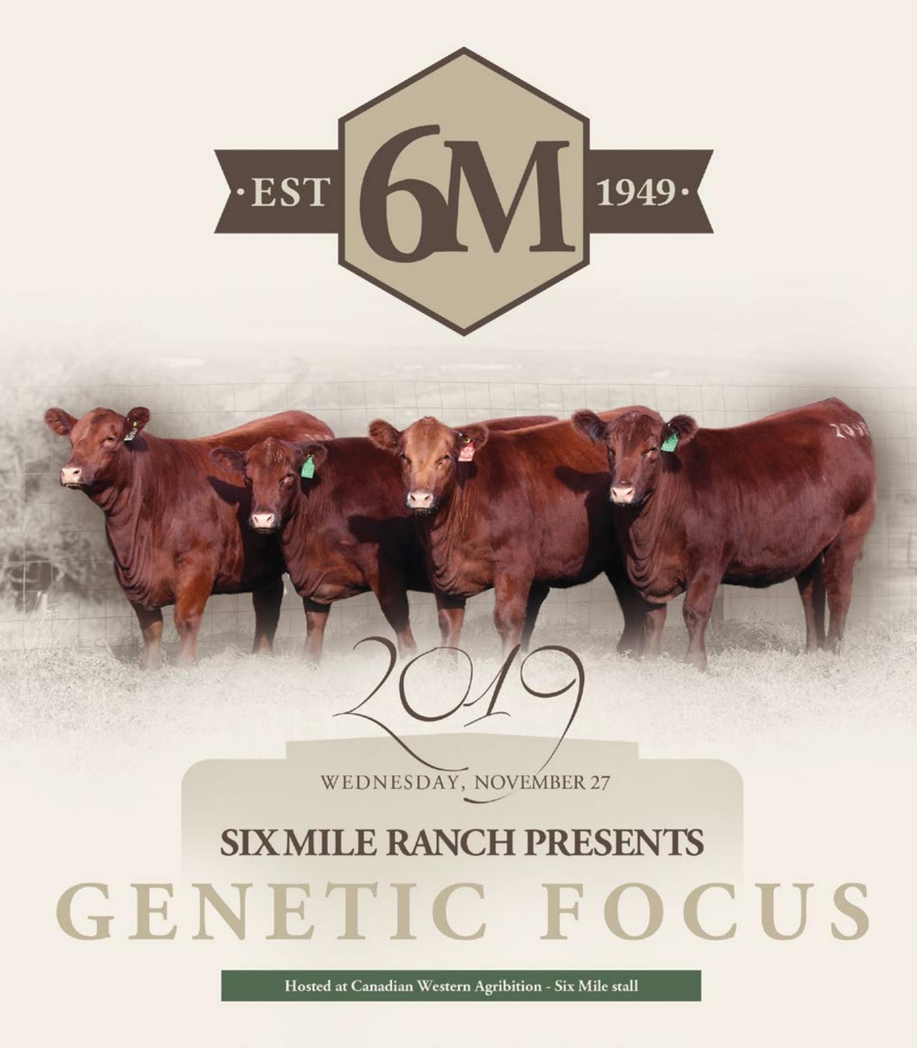 Six Mile Focus” Female Sale 2019 by Bohrson Marketing Services