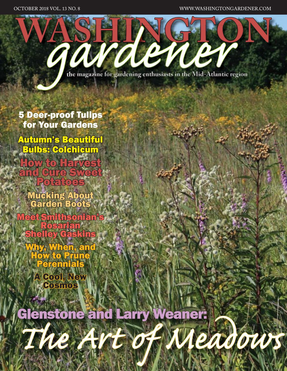 Washington Gardener October 2018 by photo