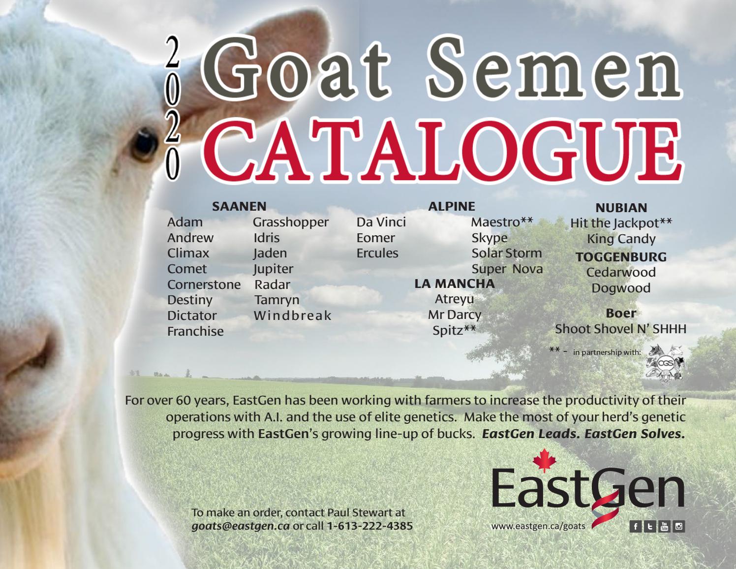 2020 EastGen English Goat Catalogue by EastGen Issuu