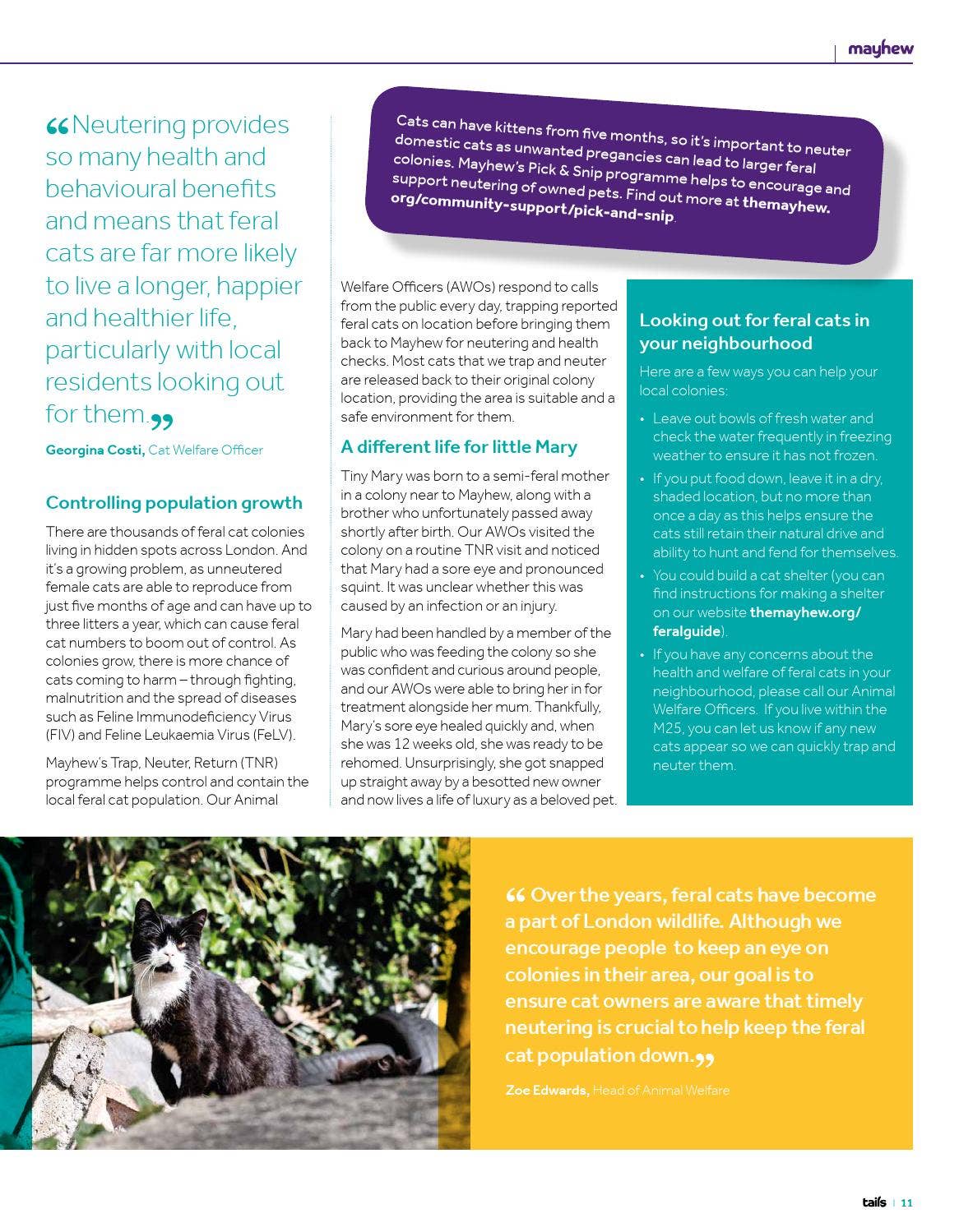 Rescue and Animal Care Magazine 9th October - 29th November 2019–Issue ...