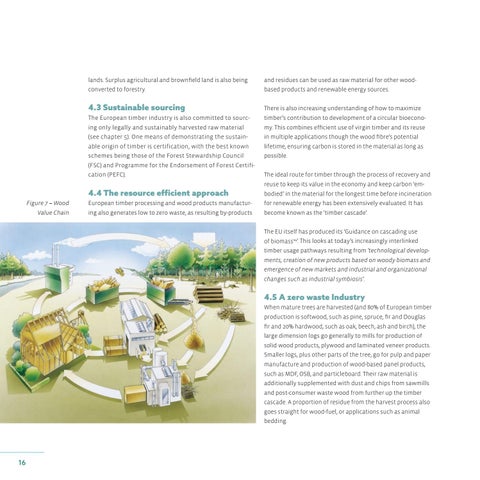 实木 - Building the bioeconomy 第 16 页