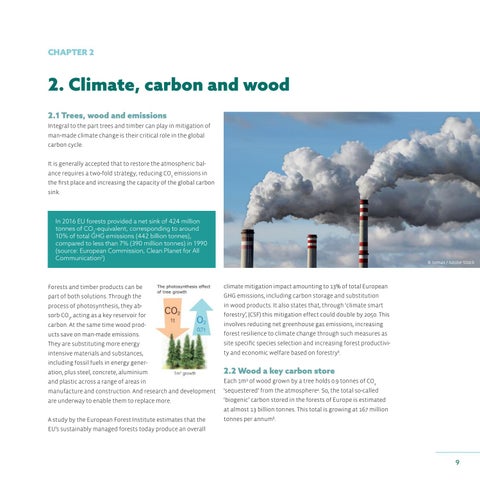 实木 - Building the bioeconomy 第 9 页
