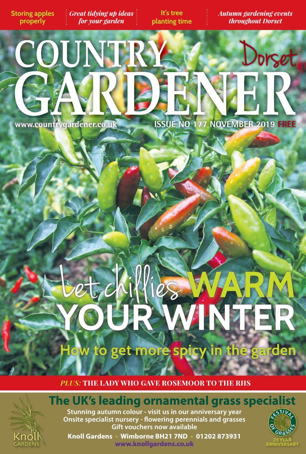 Dorset Country Gardener November 2019 By Country Gardener Issuu